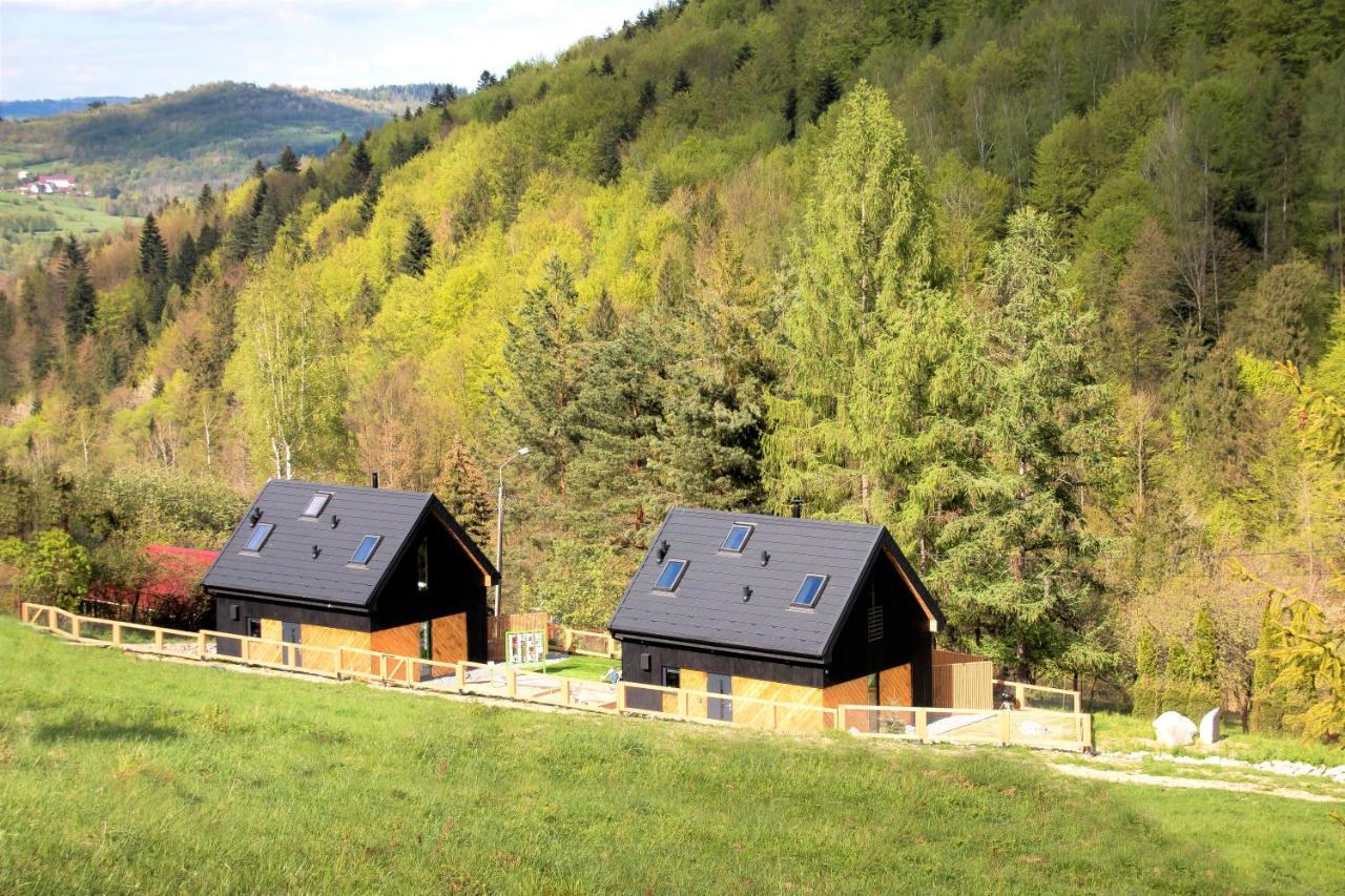 Projekt Swit - Domki Z Prywatna Jacuzzi I Sauna Живец Экстерьер фото
